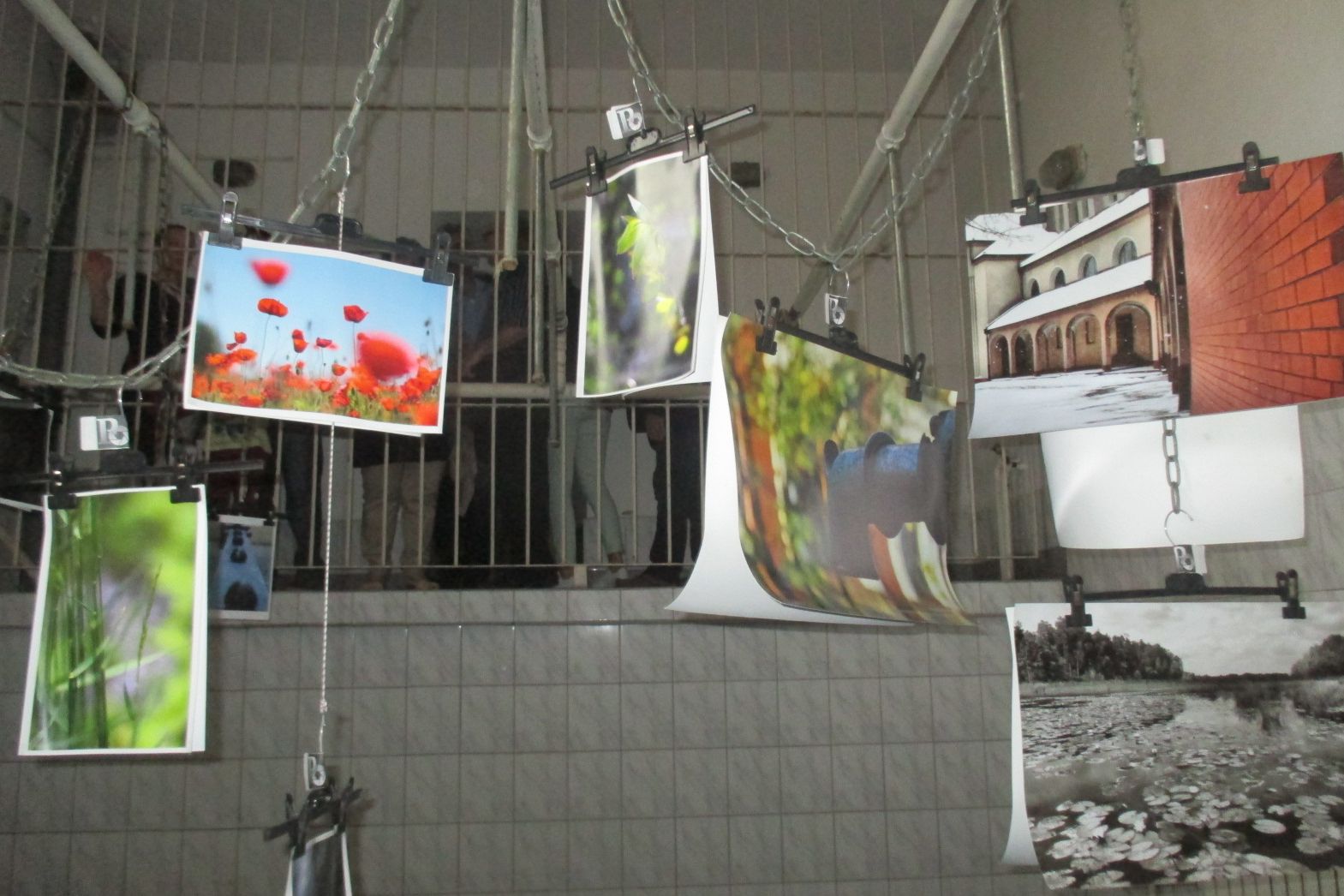 więzienie w kaliszu galeria bezdomna2 - Danuta Synkiewicz