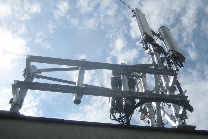 antena wilda (1) - Jacek Butlewski