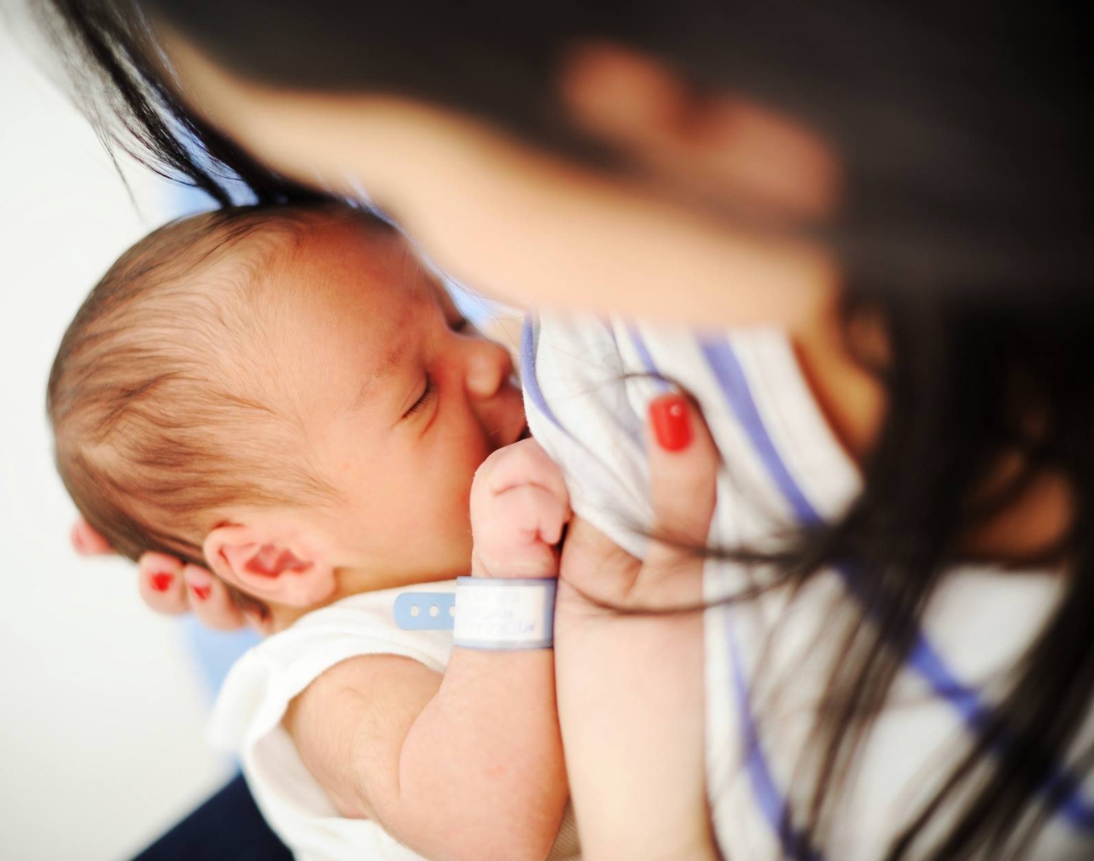 11402436_1611826985763181_2502049867888280977_o - www.facebook.com/Mlekoteka