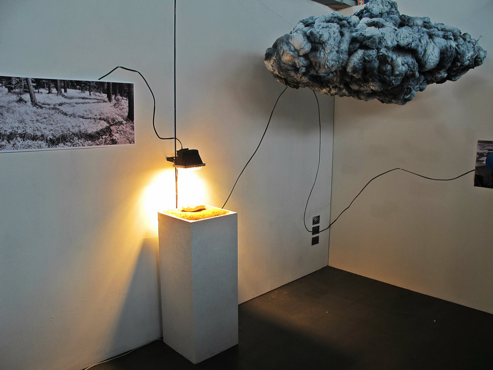 mloda sztuka na mtp - MTP