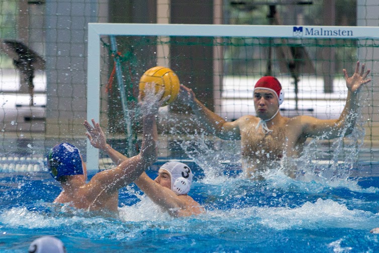 waterpolo poznań - Piotr Rychter