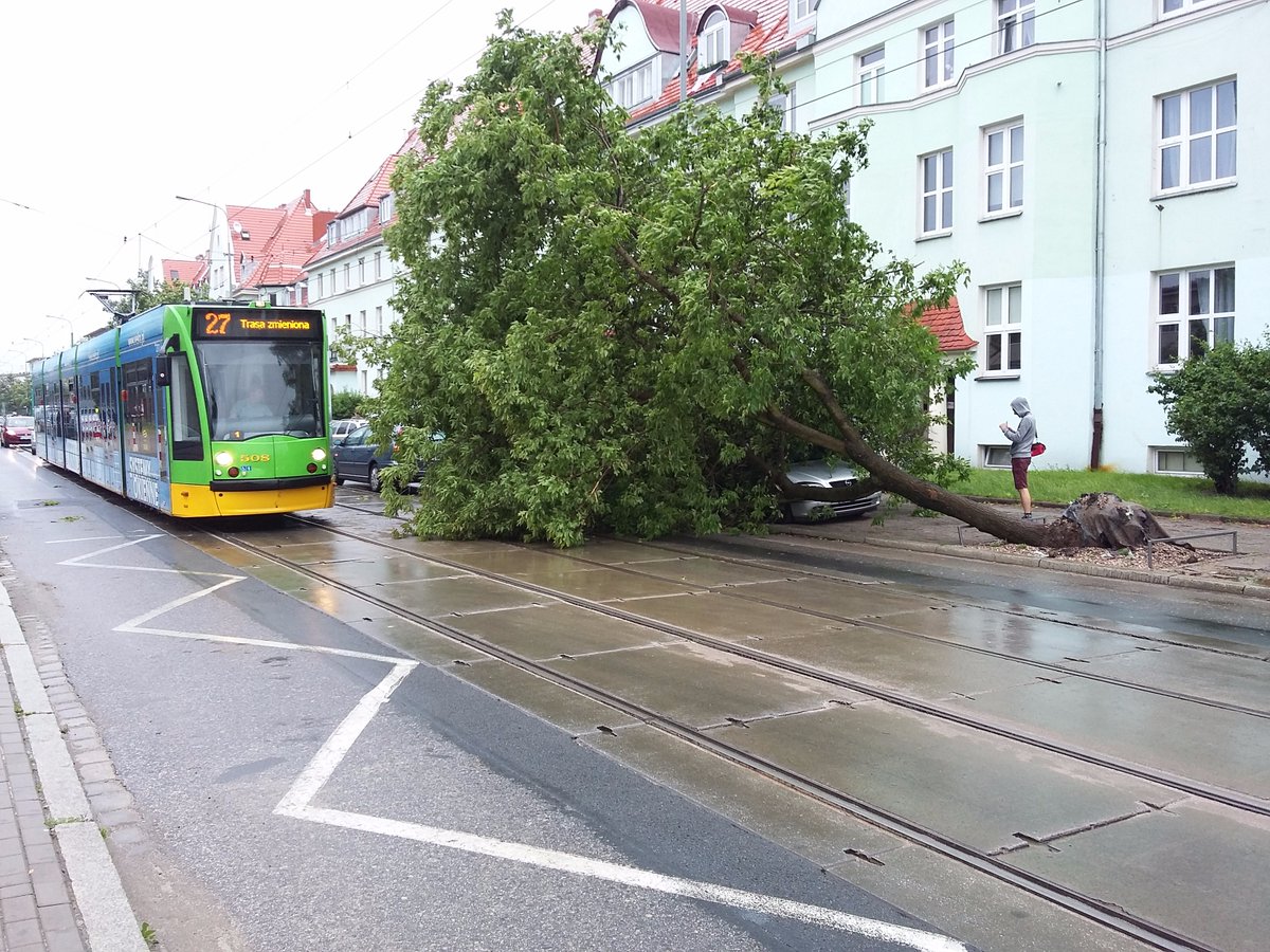 powalone drzewo - Maciej Szefer/Moto Merkury