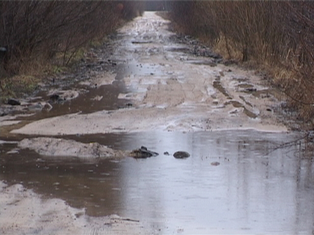 Zalane drogi - Golina, Holendry - Iwona Krzyżak