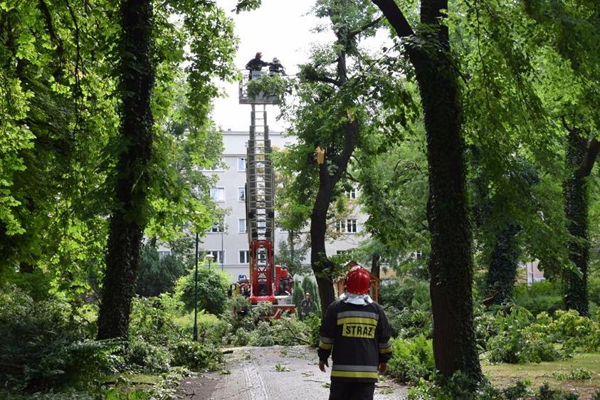 strazacy w zoo - Zoo Poznań