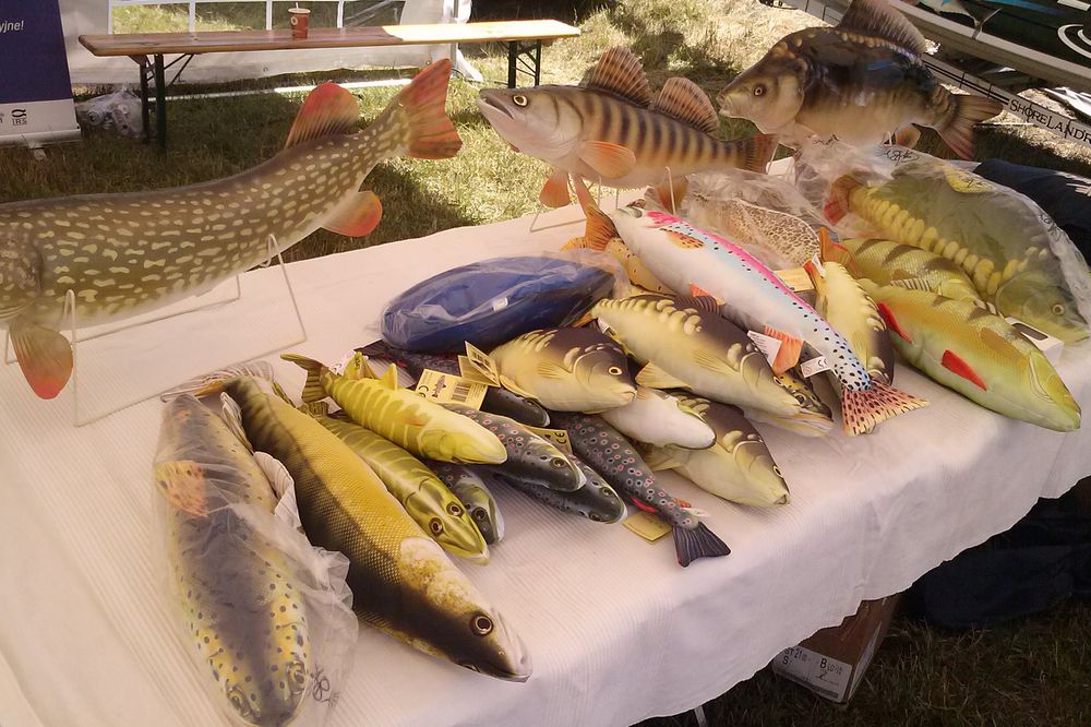 dni sierakowa - Andrzej Ciborski