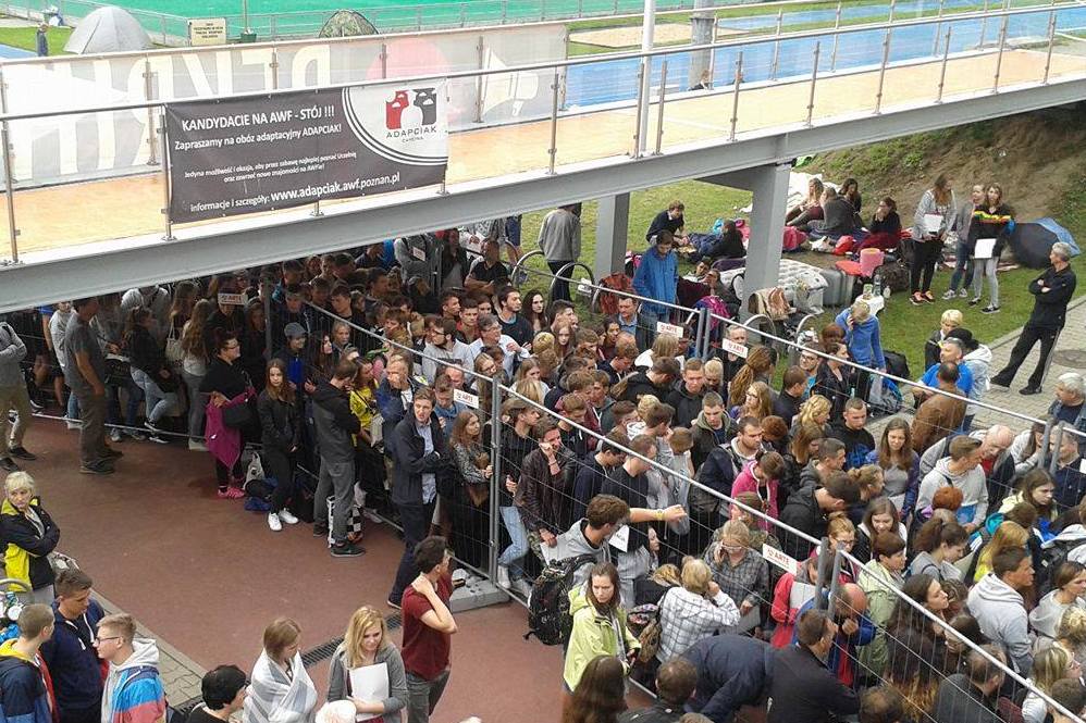 awf w kolejce - Maciej Kluczka