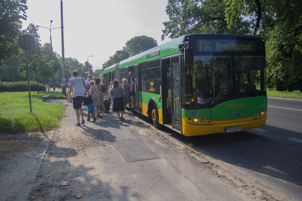 t-14 - Tomasz Żmudziński