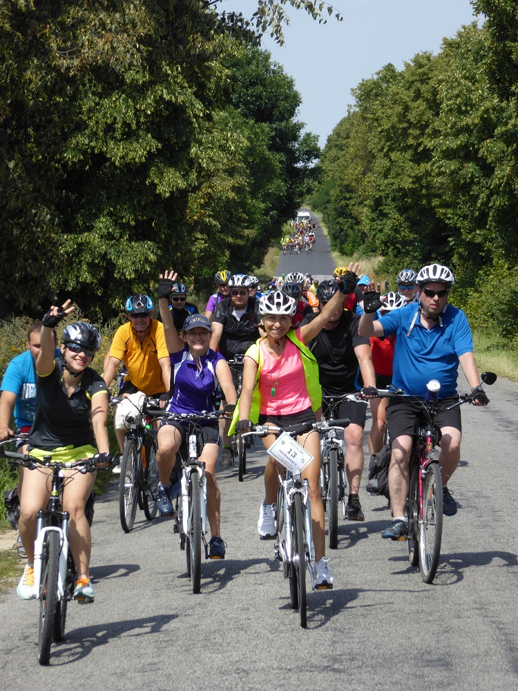 setka cyklisty - cyklista.kalisz.pl