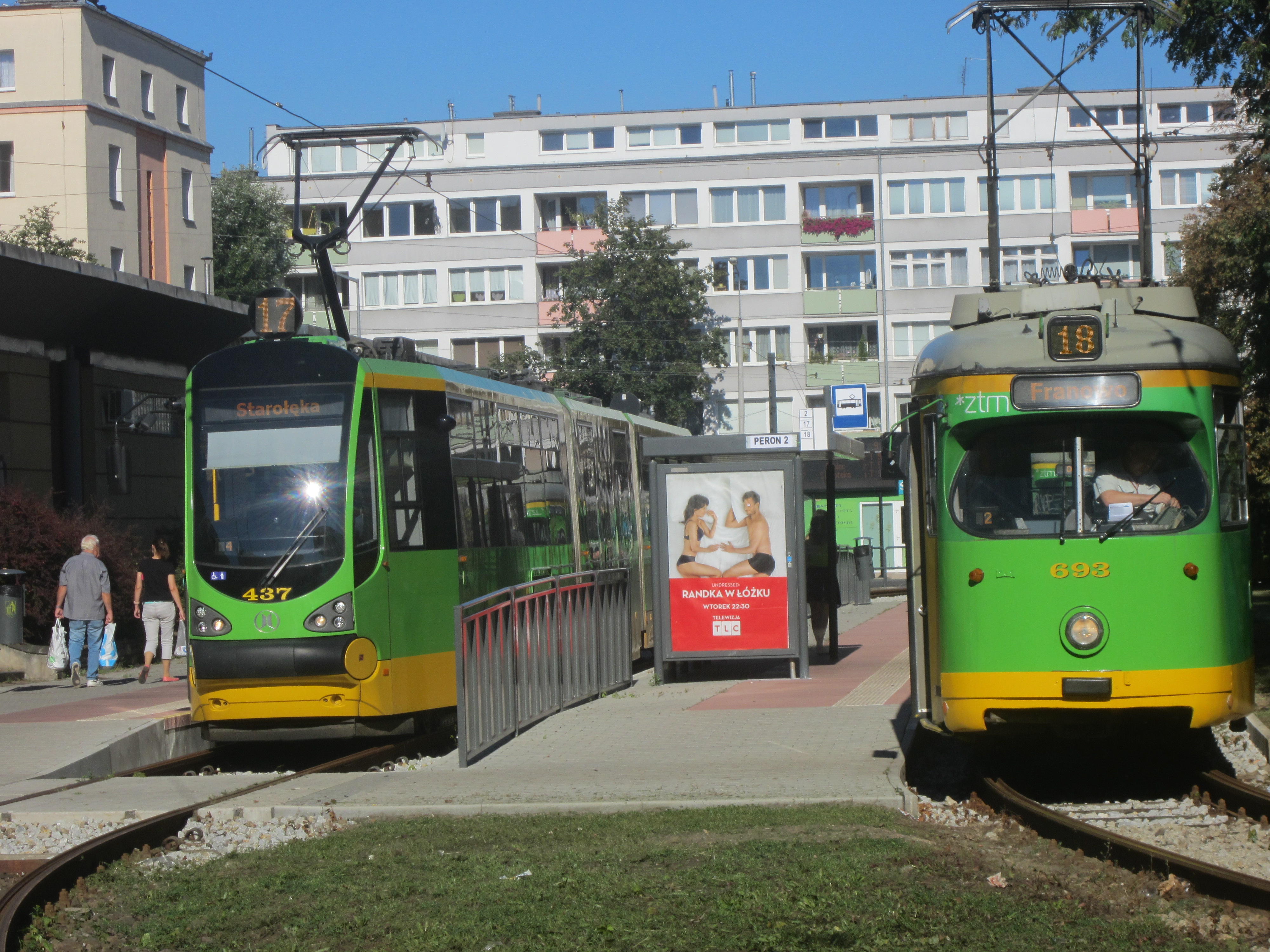 tramwaje ogrody - Magda Konieczna