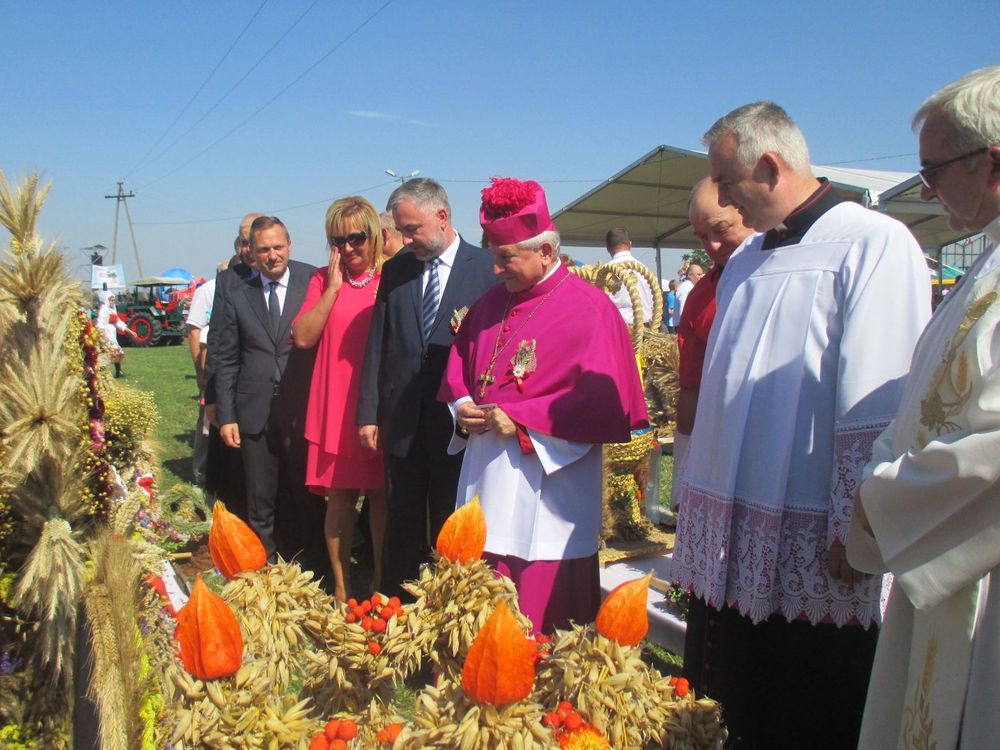 dożynki wojewódzkie 2016 (10) - Danuta Synkiewicz