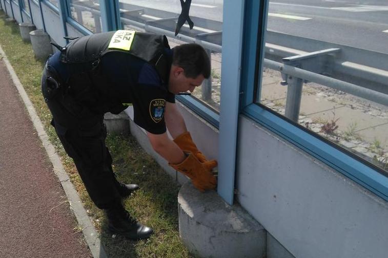 Straż Miejska Miasta Poznania