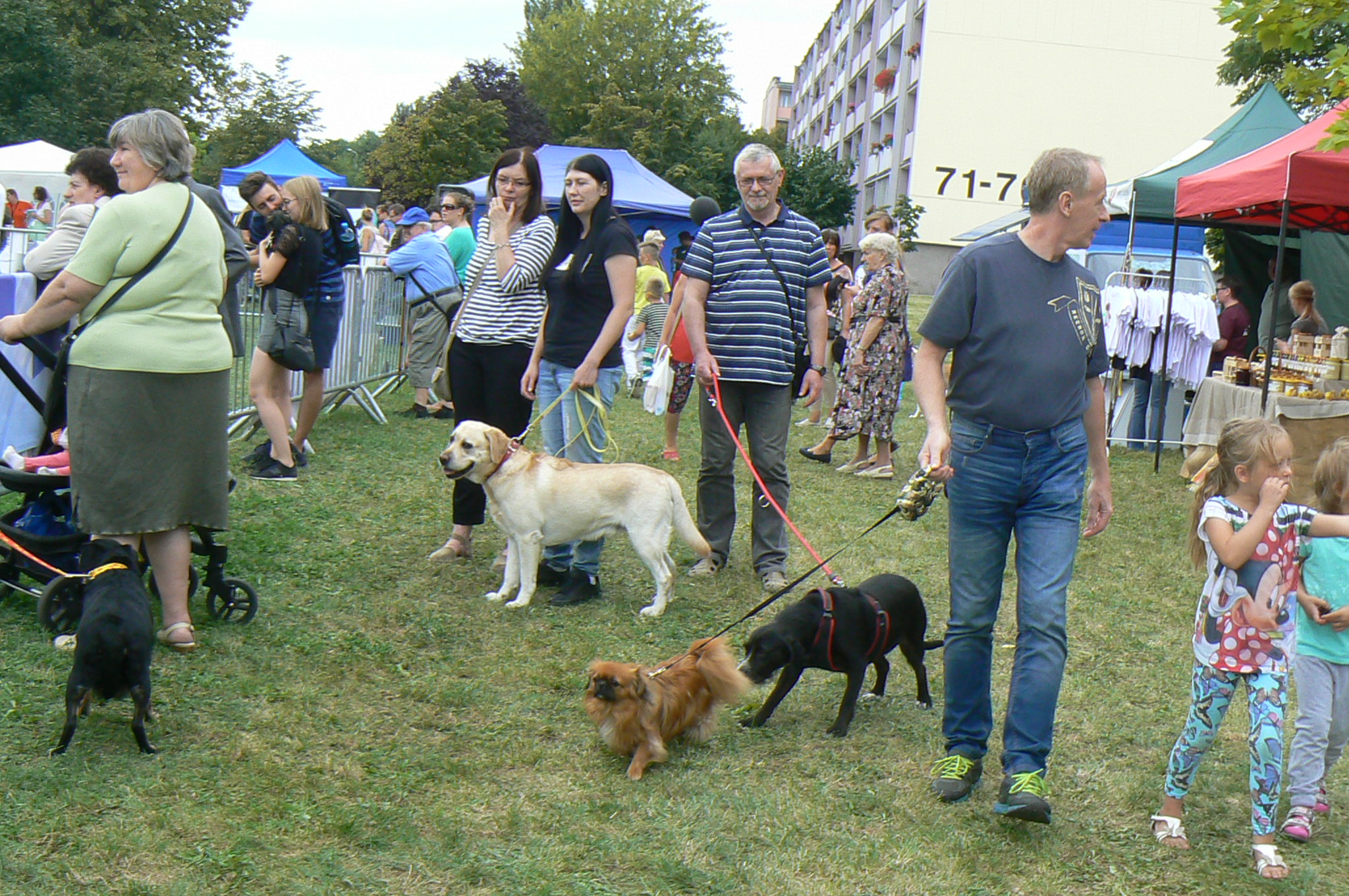 psi festyn - Maciej Kluczka