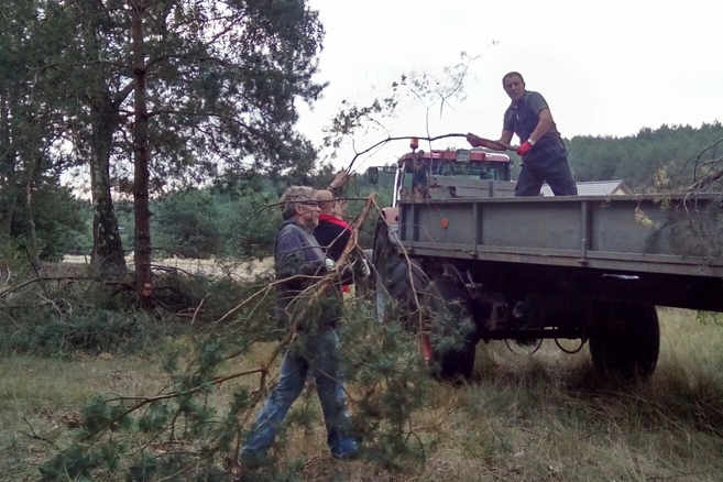 sprzatanie cmentarza - Emilia Chudzińska