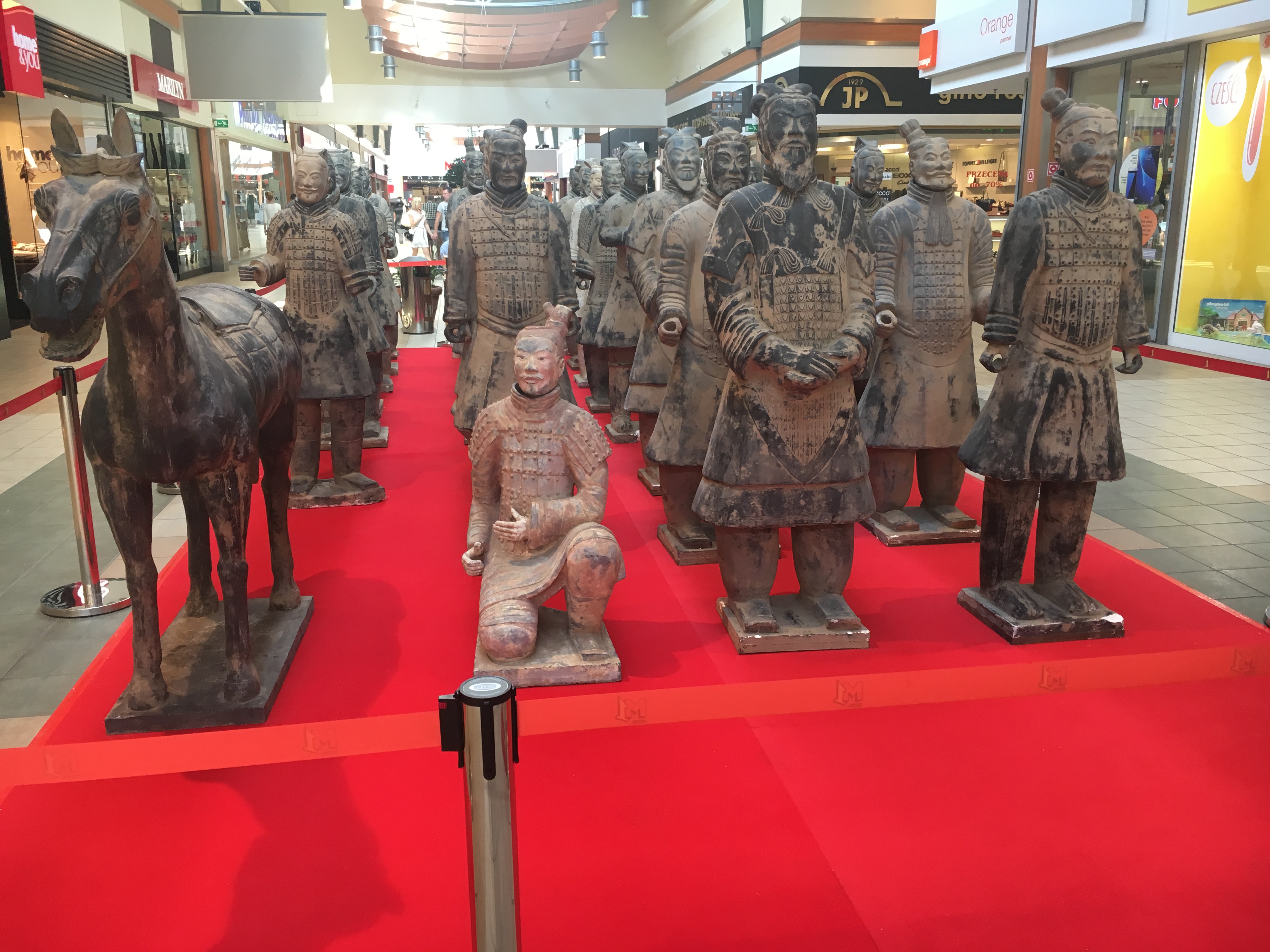 terakota armia - Wojtek Wardejn