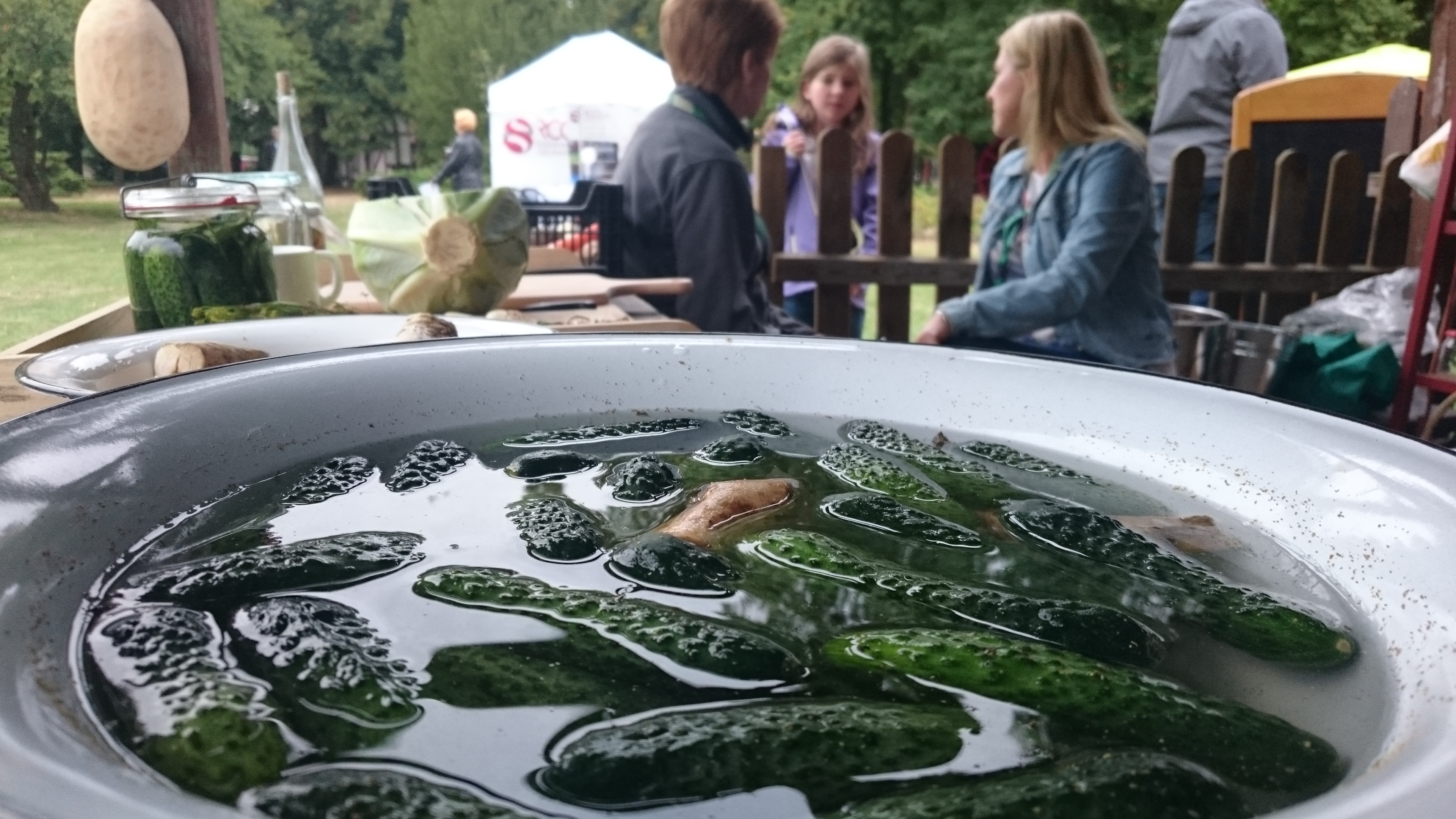 Wojciech Chmielewski