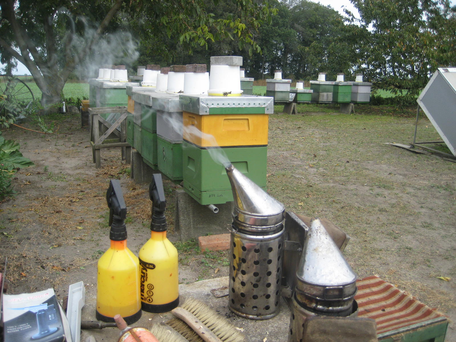 IMG_0018 (1) - Rafał Muniak