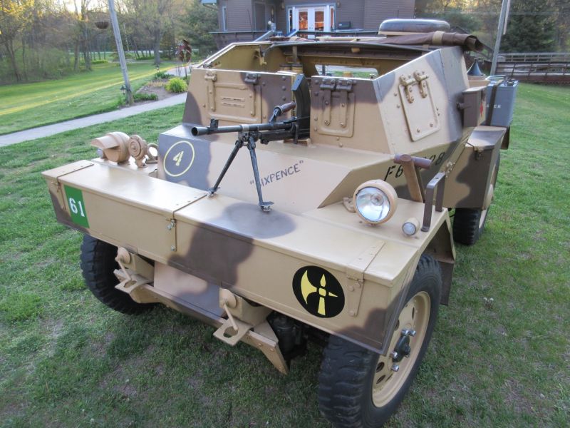 Dingo (38) - Mateusz Sakowicz MSZ