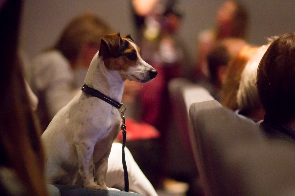 Kino Muza senans z psami - Tomasz Żmudziński