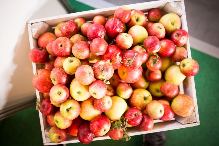 mtp polagra food - MTP