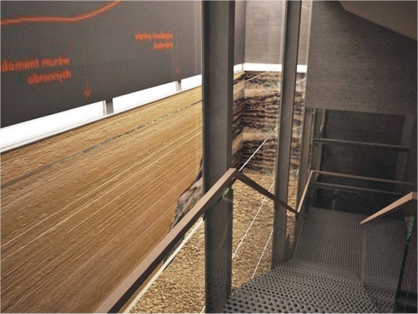 Rezerwat archeologiczny na Ostrowie Tumskim