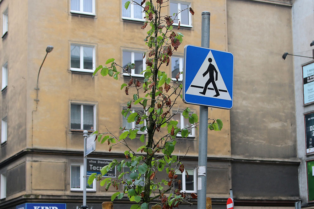 znak drogowy tempo 30 - Anna Adamczyk