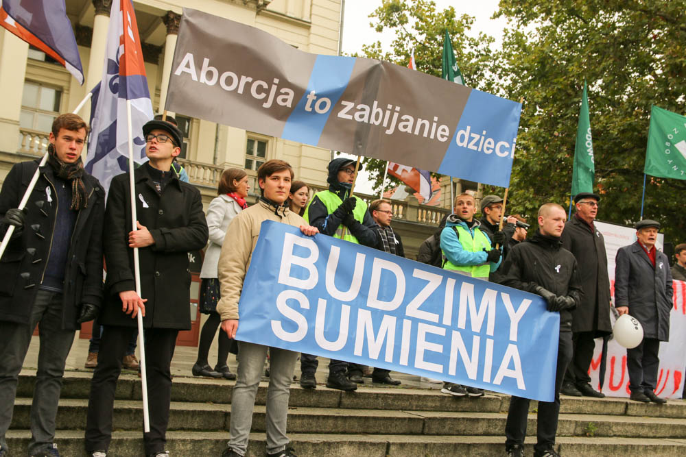 biały marsz 2016 - Anna Adamczyk