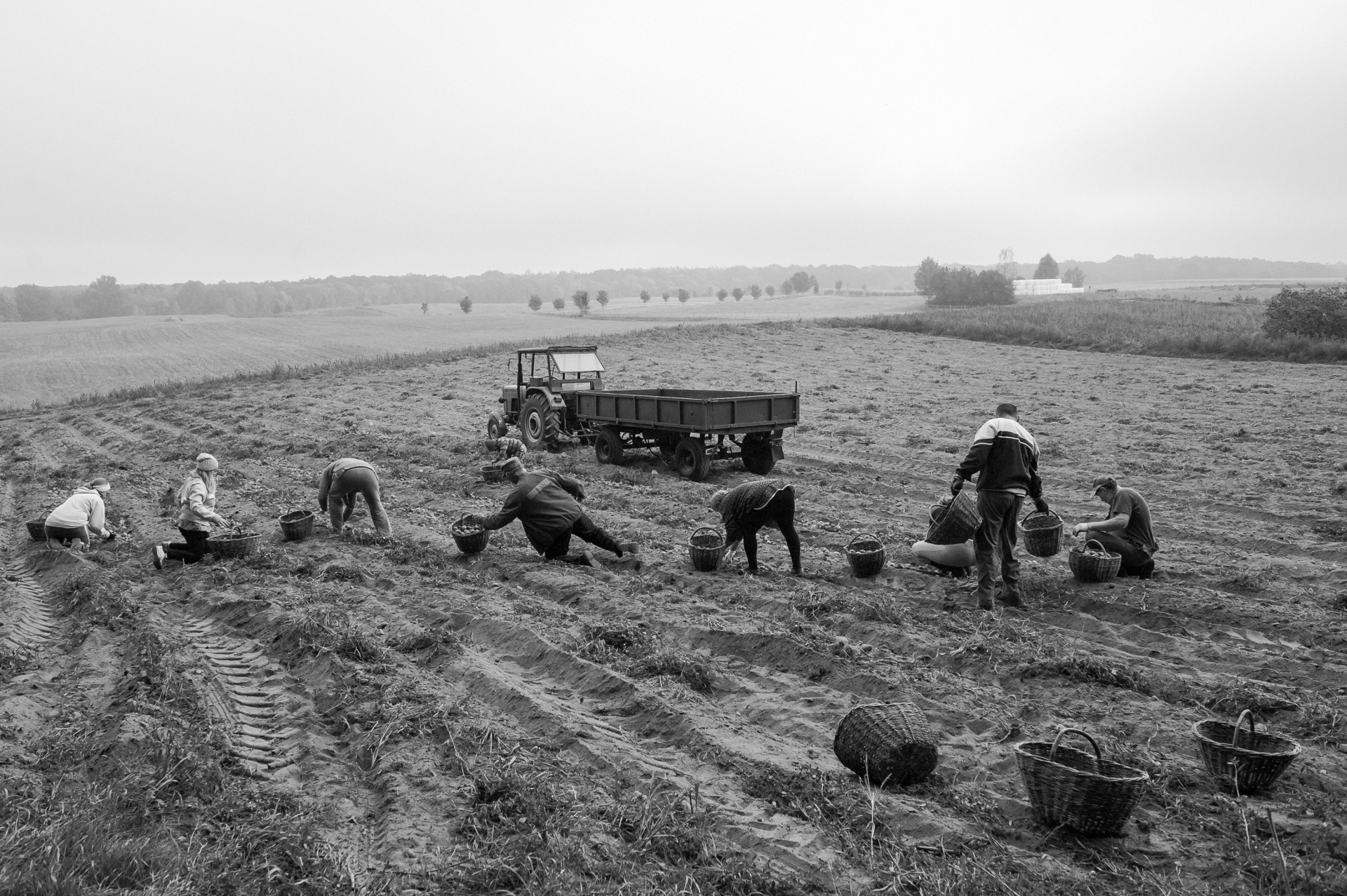 Patrick Labitzke/WBPiCAK