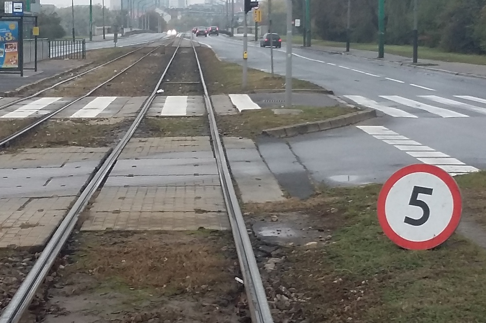 fałszywy znak - Szymon Mazur