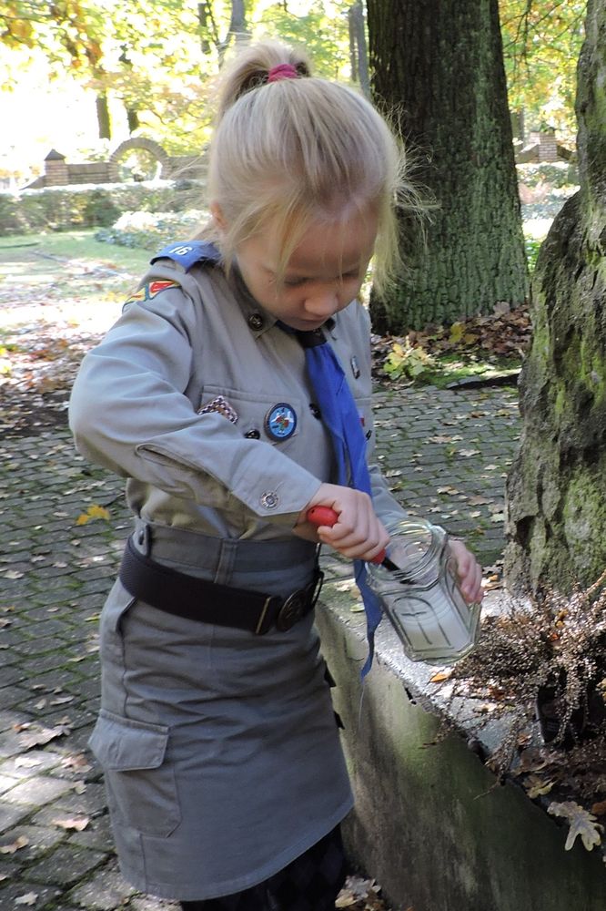 Znicze na cmentarzu w Tarnowskich Górach