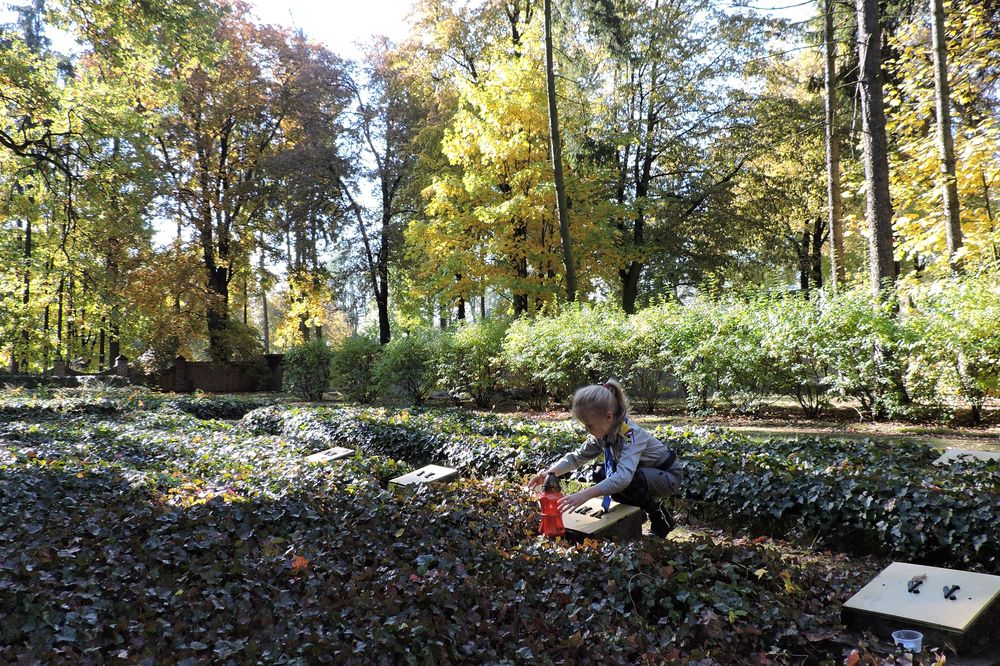 Znicze na cmentarzu w Tarnowskich Górach