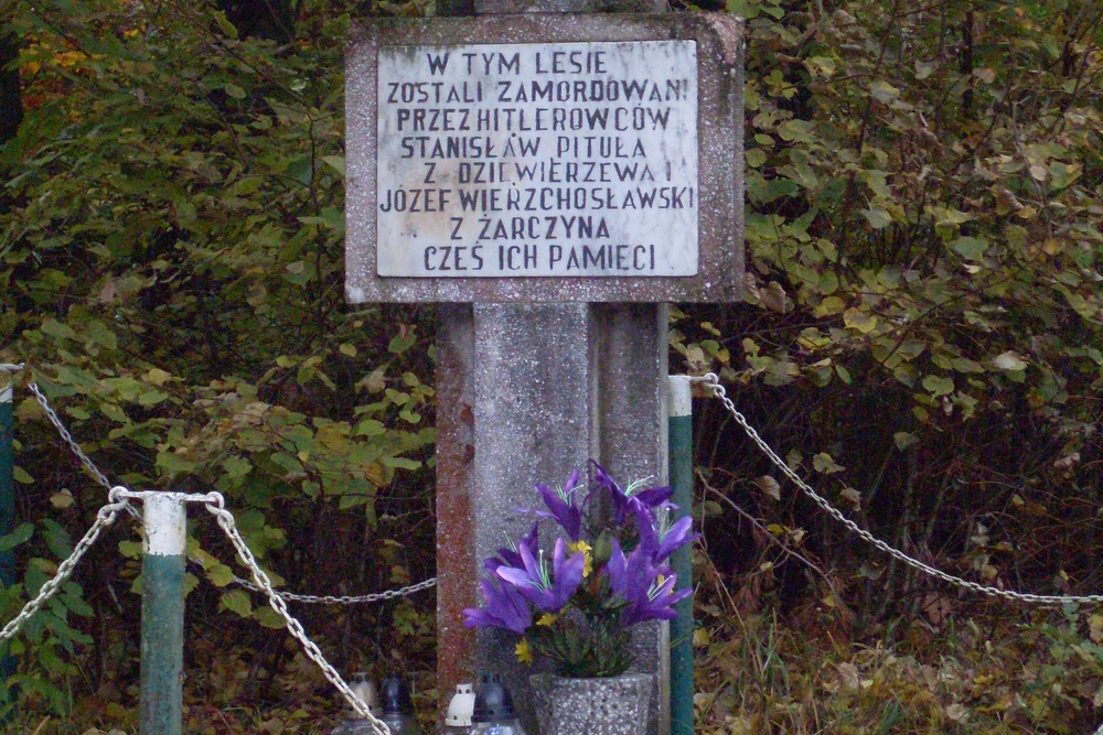 Krzyż oraz obelisk w lesie między wsiami Żarczyn - Srebrna Góra.