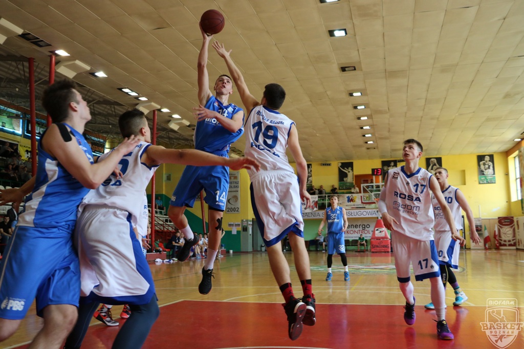 biofarn basket - Biofarm Basket Poznań