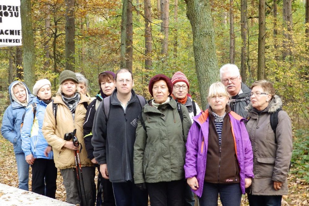 Znicze w Lasach Zakrzewskich