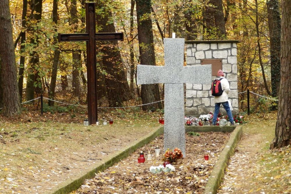 Znicze w Lasach Zakrzewskich