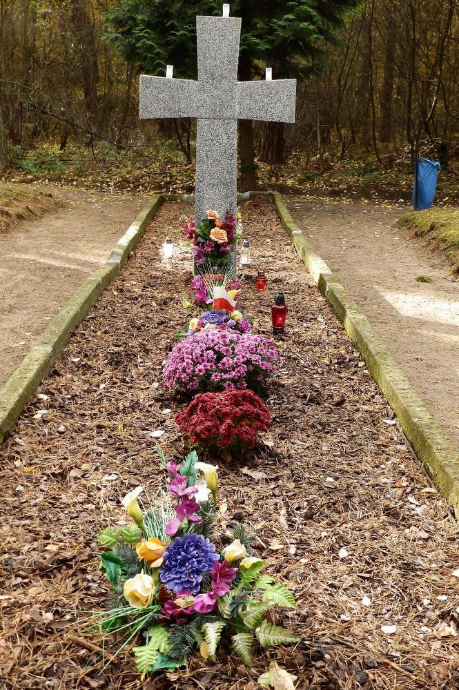 Znicze w Lasach Zakrzewskich