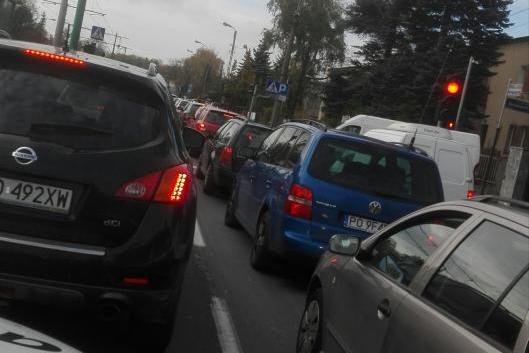 korek grunwaldzka - Adam Michalkiewicz