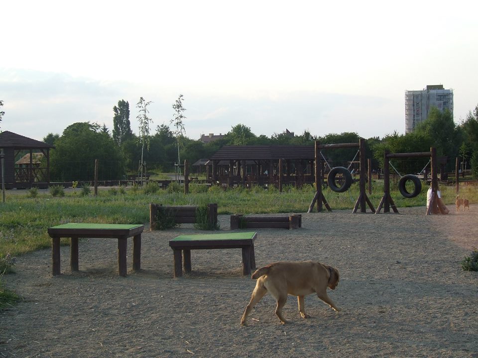 wybieg dla psów - animanti.pl