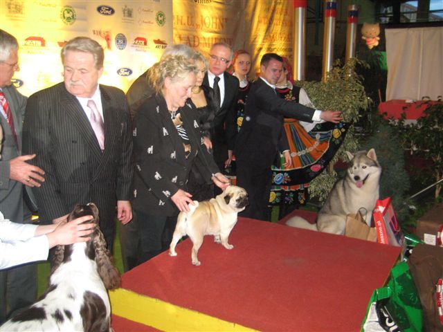 Pies - champion championów - Archiwum Radia Merkury