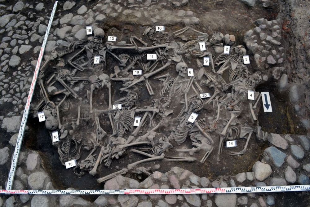 Wielkopolski Urząd Wojewódzki