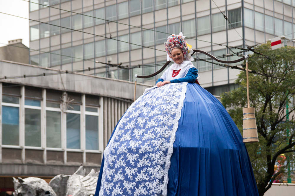 parada świętomarcińska 2016 (22) - Tomek Żmudziński