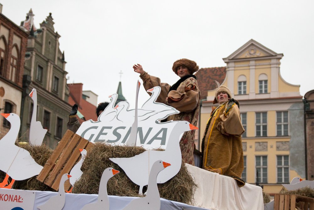 1116_gesina_040 - Tomek Żmudziński