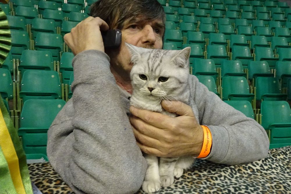 koty wystawa arena (21) - Szymon Mazur