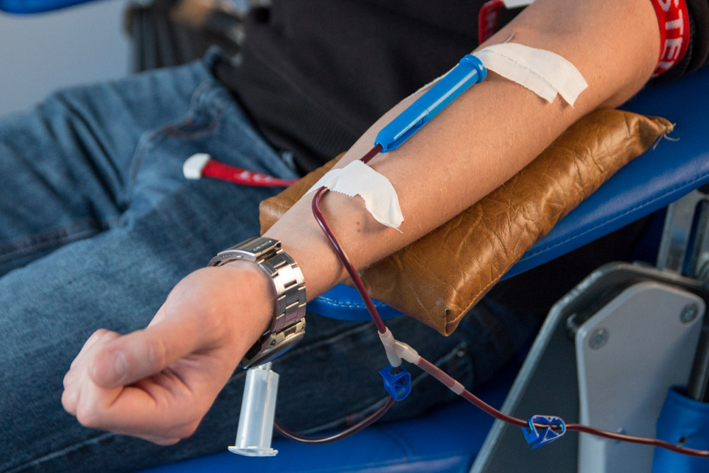 Wampirada, pobieranie krwi - Leon Bielewicz