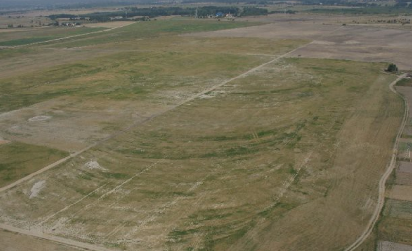 działki 500  - Iwona Krzyżak