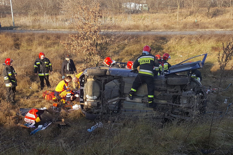 szwajcarska dachowanie - Euro Hol