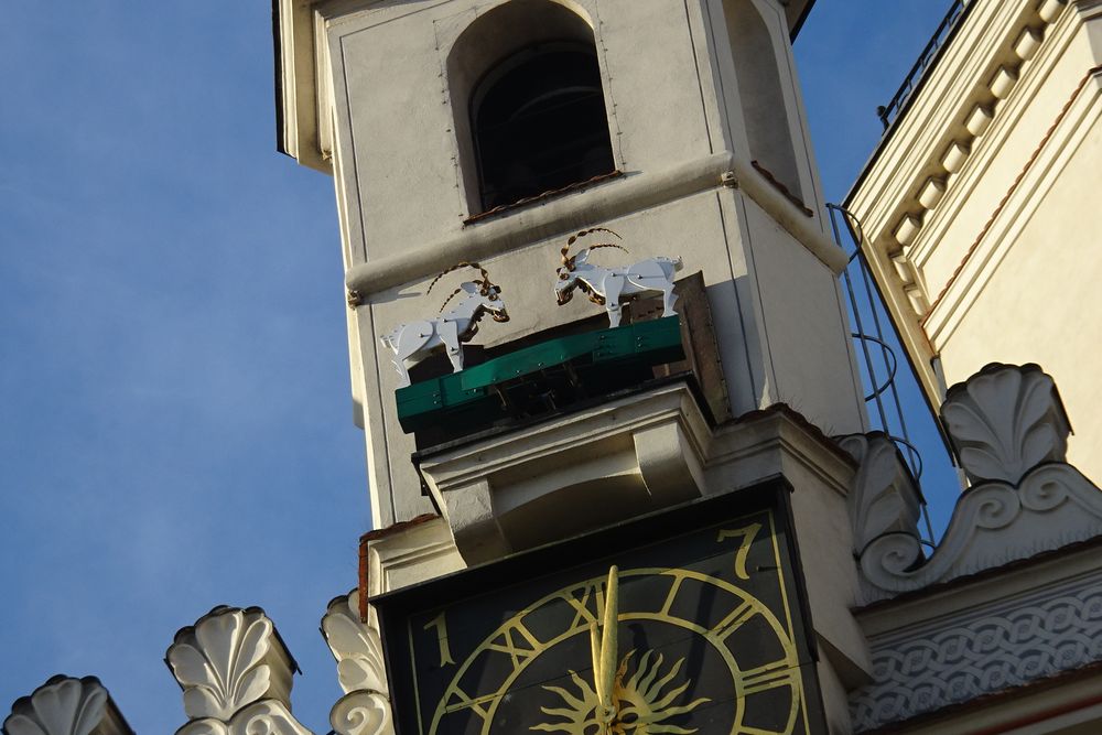 ratusz poznański koziołki - Anna Adamczyk