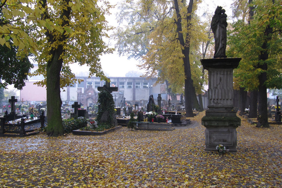 cmentarz w ostrowie - MZZ Ostrów Wlkp.