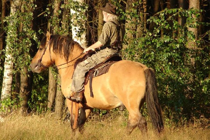 Stworzenia Pana Smolenia