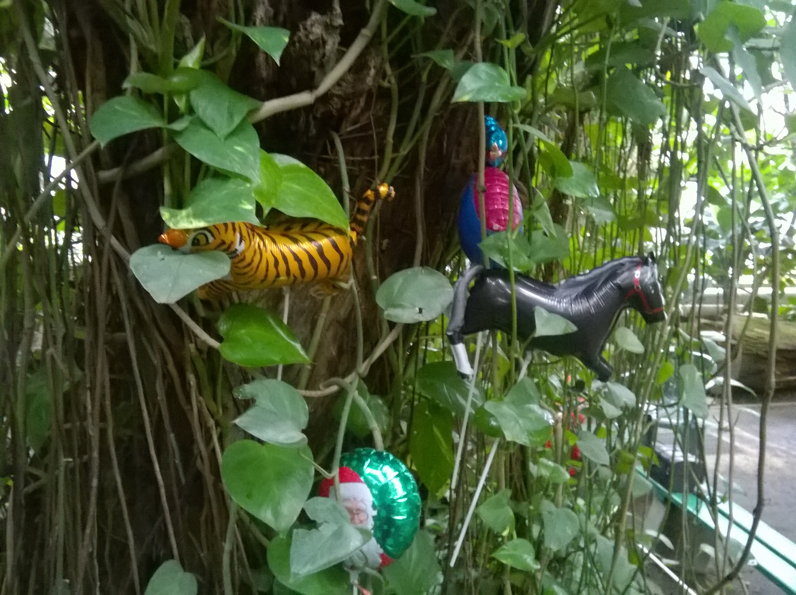 Obraz 002 - Jacek Butlewski