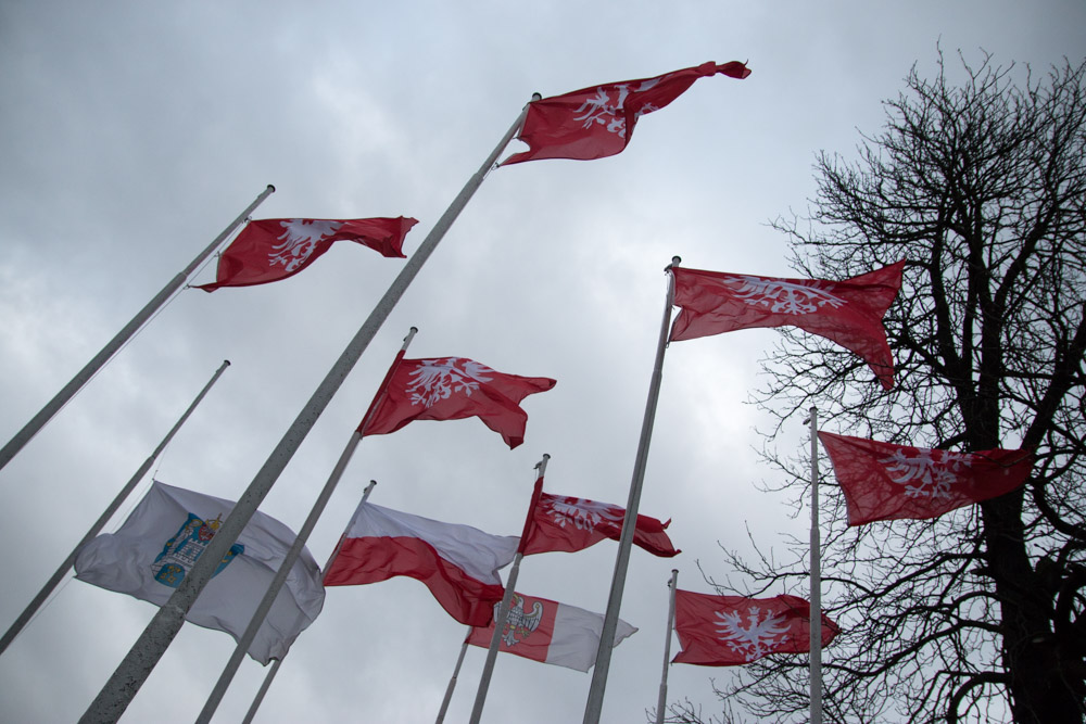 powstanie wielkopolskie obchody poznań 2016 - Wojtek Wardejn